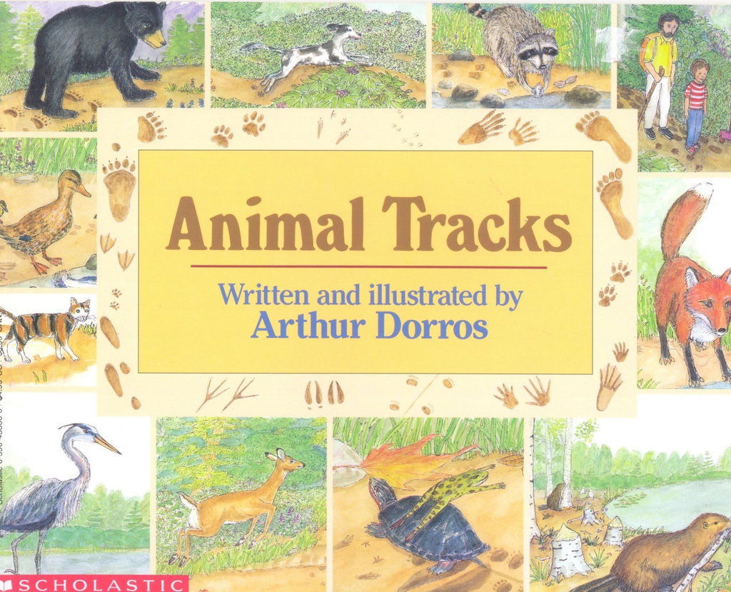 ANIMAL TRACKS