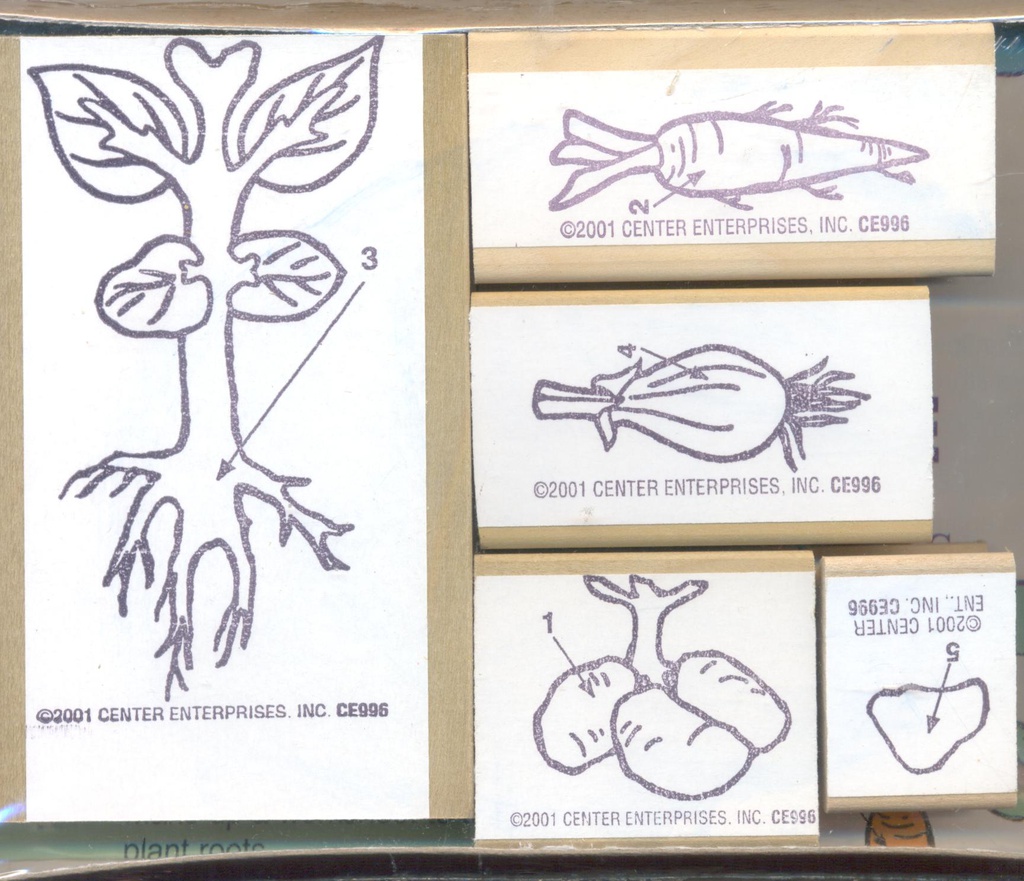Lifecycle Stamp Set, Plant Roots