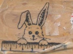 Bunny With Ruler