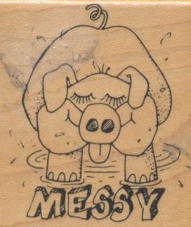 Messy Piggy