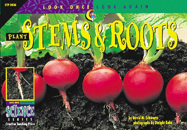 LOOK ONCE Plant Stems &amp; Roots