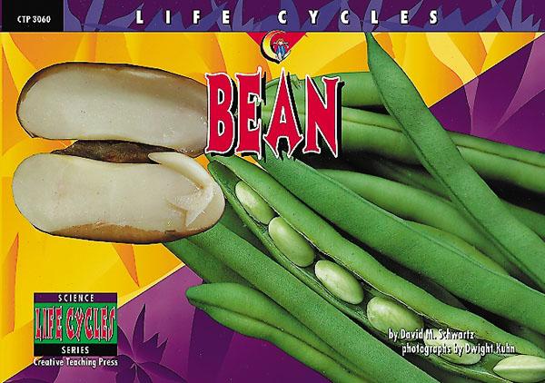 LIFE CYCLES Bean