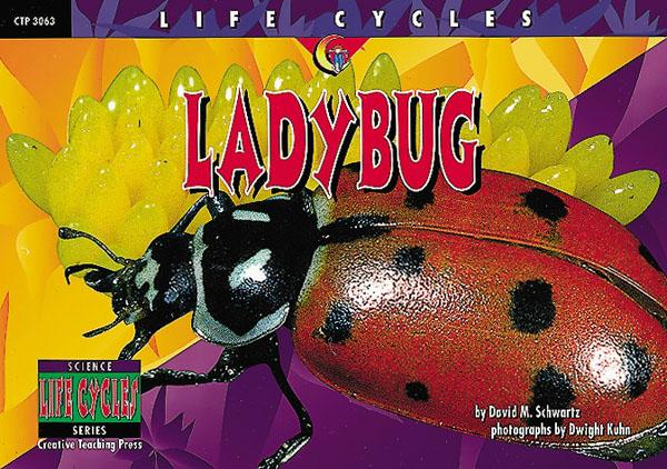 LIFE CYCLES Ladybug