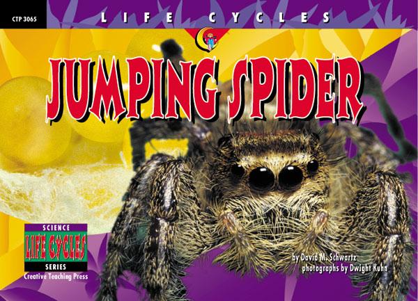 LIFE CYCLES Jumping Spider
