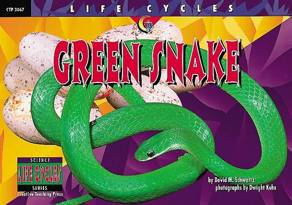 LIFE CYCLES Green Snake