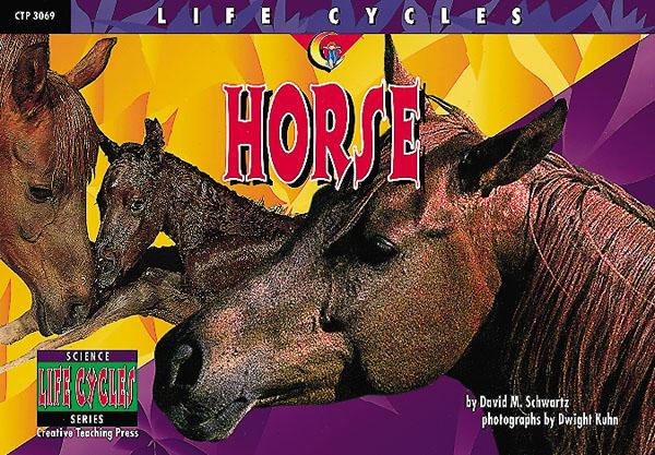 LIFE CYCLES Horse