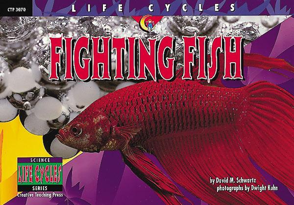 LIFE CYCLES Fighting Fish