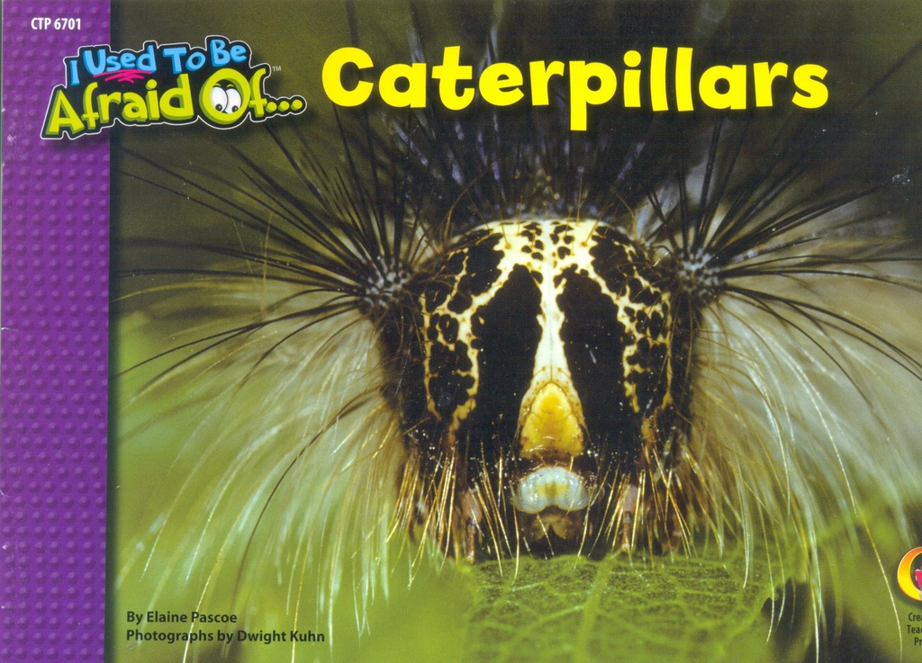 Caterpillars, I Used To Be Afraid Of