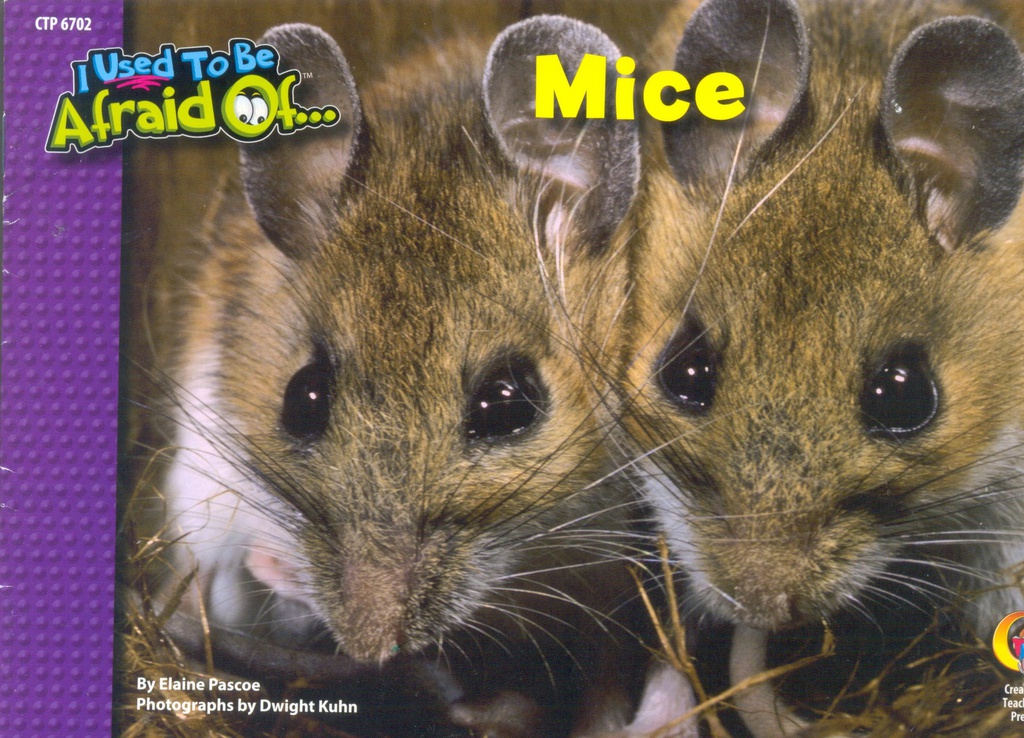 Mice, I Used To Be Afraid Of