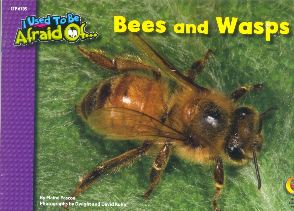 Bees and Wasps, I Used To Be Afraid Of