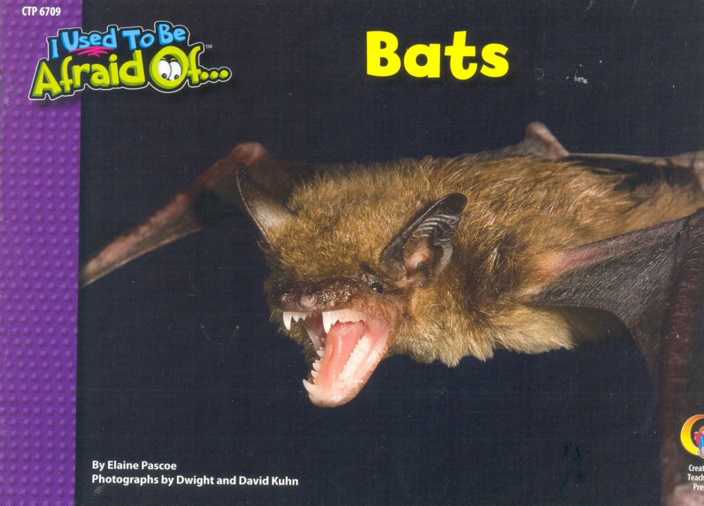 Bats, I Used To Be Afraid Of