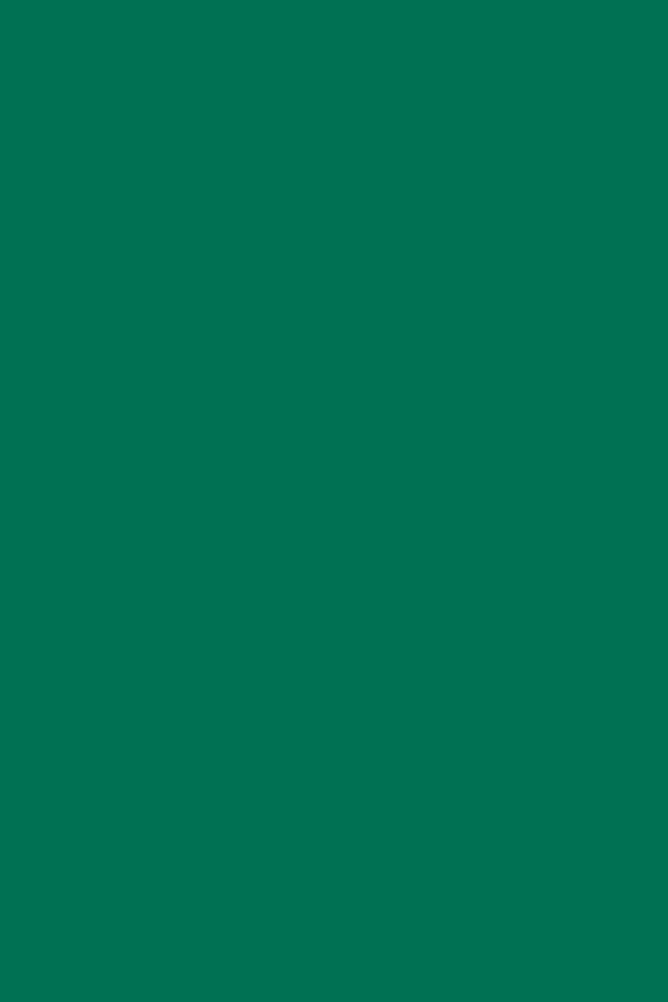 TISSUE SPECTRA BLEEDING (20''X30'')(50.8cmx76.2cm) EMERALD (24CT)
