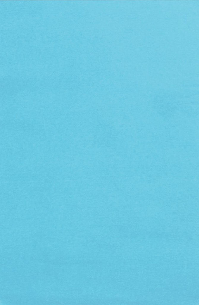 TISSUE SPECTRA BLEEDING (20''X30'')(50.8cmx76.2cm) SKY BLUE (24CT)