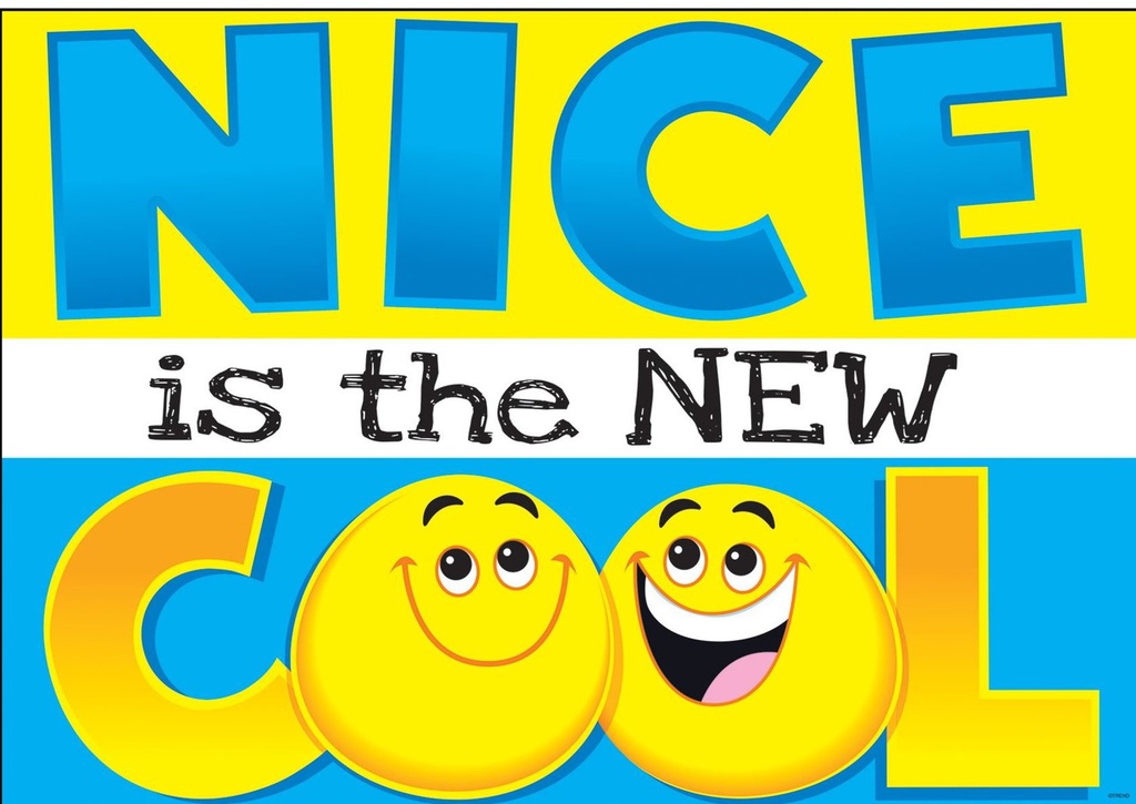NICE is the NEW COOL Poster 13.3''x19''(33.7cmx48.2cm)