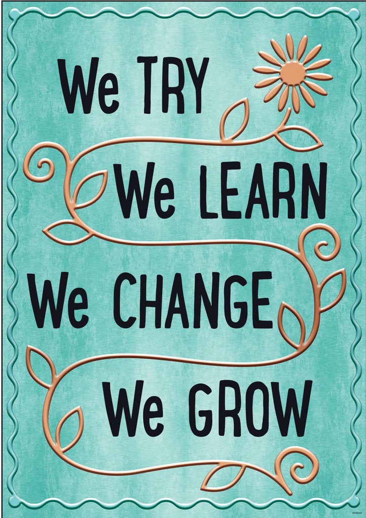 We TRY We LEARN We Change Poster 13.3''x19''(33.7cmx48.2cm)
