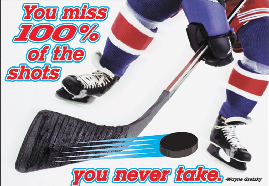 You'll miss 100% of the shots you never take. -- Wayne Gretzky Poster (48cmx 33.5cm)