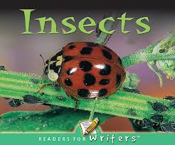 Readers for Writers: Insects