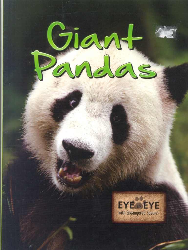 Eye to Eye with Endangered Species: Giant Pandas