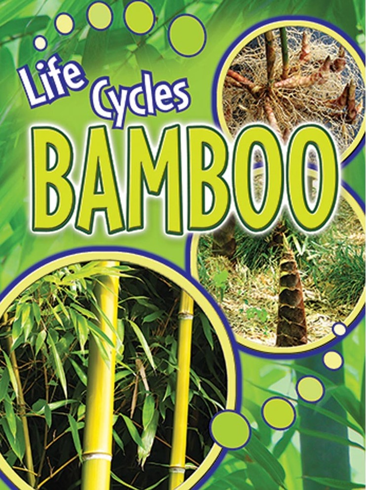 Life Cycles: Bamboo