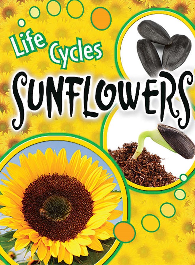 Life Cycles: Sunflowers