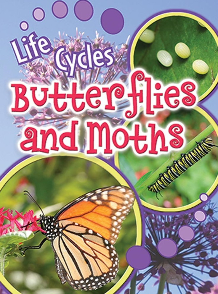 Life Cycles: Butterflies and Moths