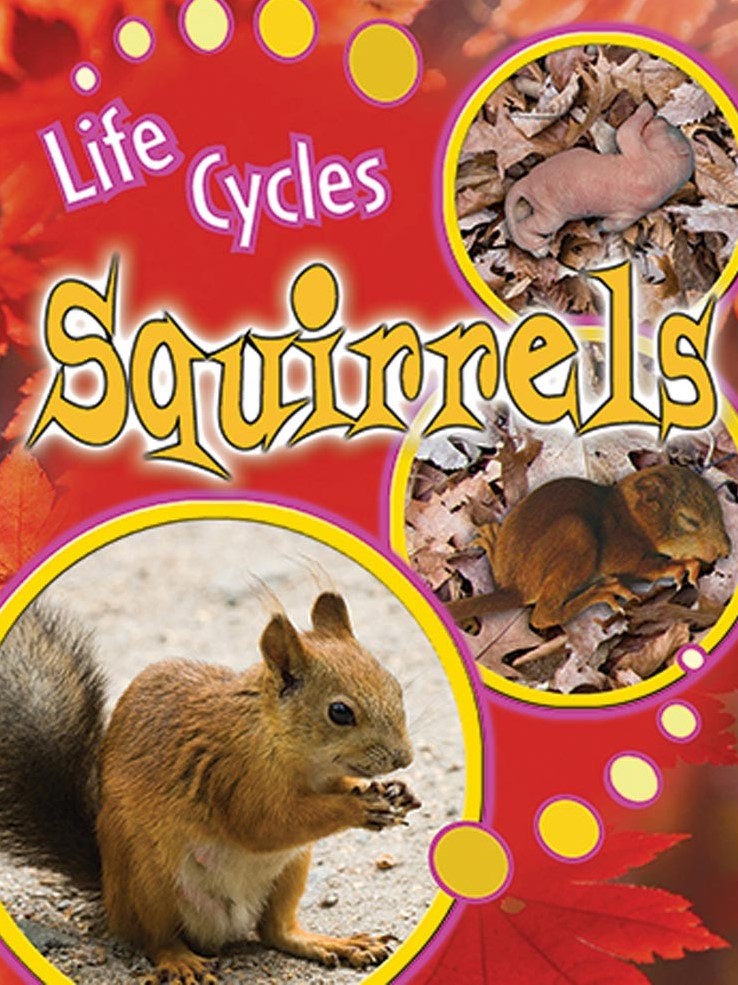 Life Cycles: Squirrels
