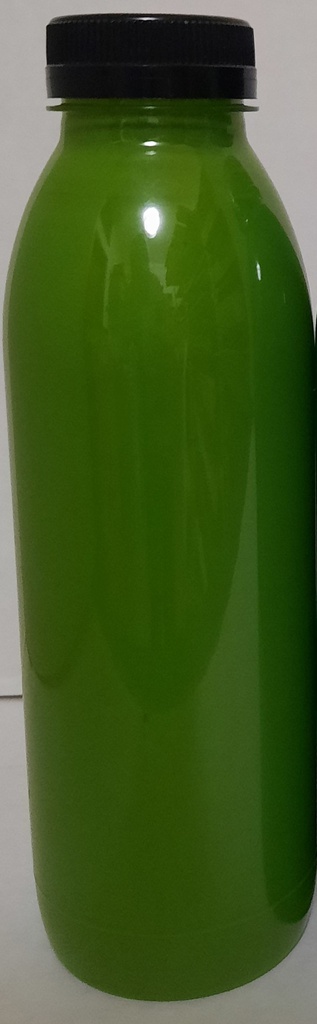 SIMPLY WASHABLE TEMPERA 500 ml(17.50z) APPLE GREEN