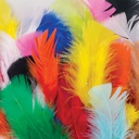 FEATHERS PLUMAGE BRIGHT HUES 1 OZ