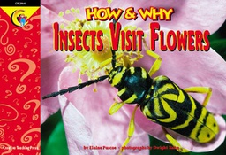 [CTP2964] Insects Visit Flowers