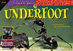 [CTP3002] LOOK ONCE Underfoot