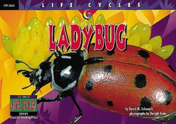 [CTP3063] LIFE CYCLES Ladybug