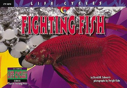 [CTP3070] LIFE CYCLES Fighting Fish
