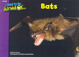 [CTP6709] Bats, I Used To Be Afraid Of