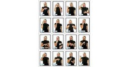 [KEX845025] Sign Language in the Early Childhood Classroom Learning Cards Pre K -Gr.2 (48 cards)
