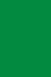 [PX0059122] TISSUE SPECTRA BLEEDING 20X30 APPLE GREEN 24CT