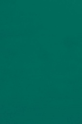 [PX0059137] TISSUE SPECTRA BLEEDING 12X18 EMERALD 50CT