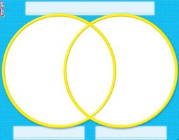[TX27311] Venn Diagram Wipe -Off Charts (55cm x 43cm)