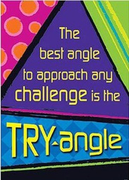 [TAX67032] The best angle to approach any challenge is the Try angle.Poster (48cm.x 33.5cm)