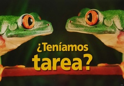[TAX67503] Tenamos Tarea? (There was homework?)Poster (48cm x 33.5cm)