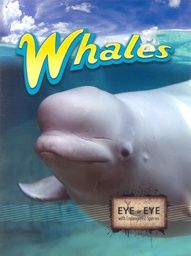 [TCR905133] Eye to Eye with Endangered Species: Whales