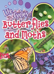 [TCR905478] Life Cycles: Butterflies and Moths