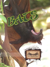 [TCR948453] Eye to Eye with Endangered Species: Bats