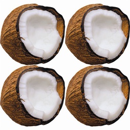 [TX10585] Monkey Mischief™ Coconuts Mini Accent 3''(7.5cm)(36 pcs)