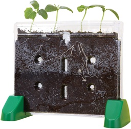[EI5101] Sprout &amp; Grow Window Plant Growing Kit Ages:5+ (10wonder soil)