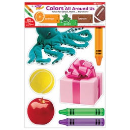 [T19005] Colors All Around Learning Set (49 pcs)