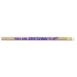 [JRM7928B] YOU ARE AWESOME PENCILS 12/PK