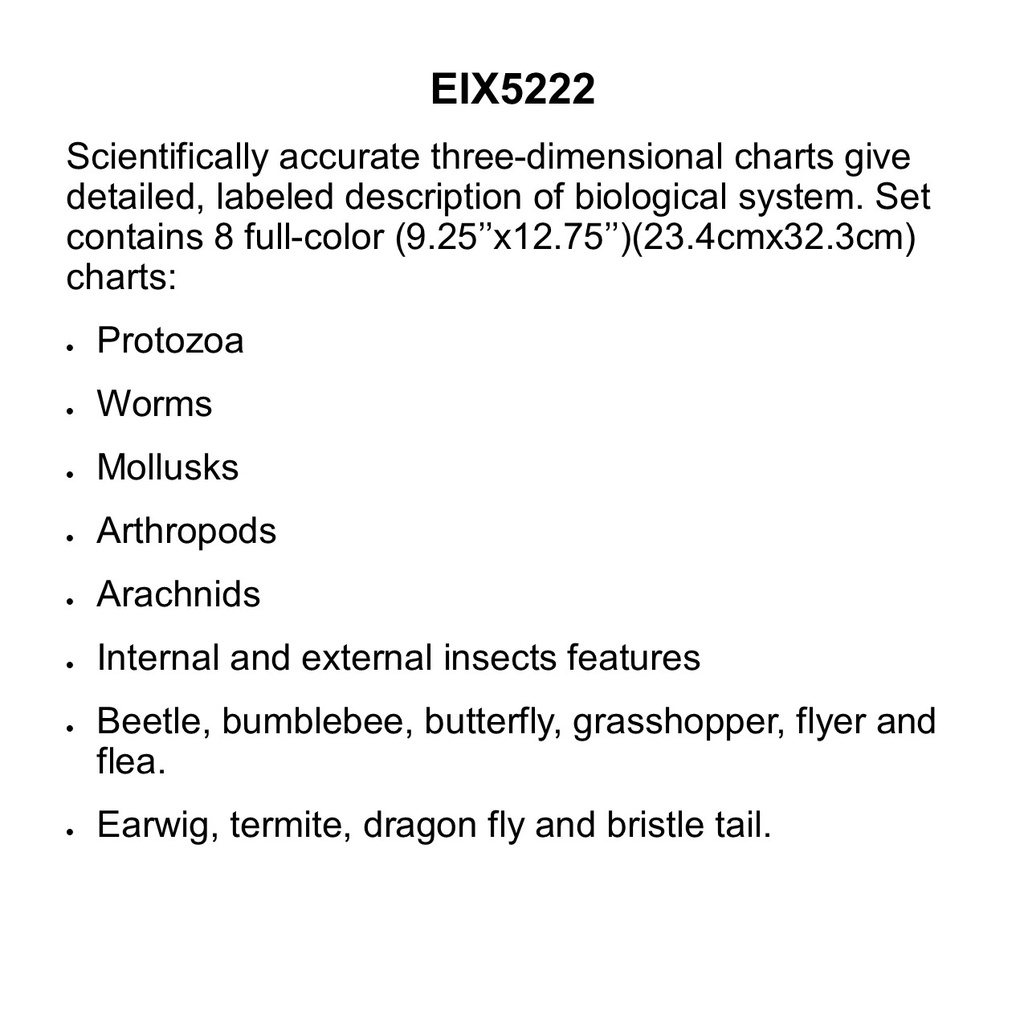 Zoology Charts-Invertebrates 3-D Ages:9+ (34cmx24cm)