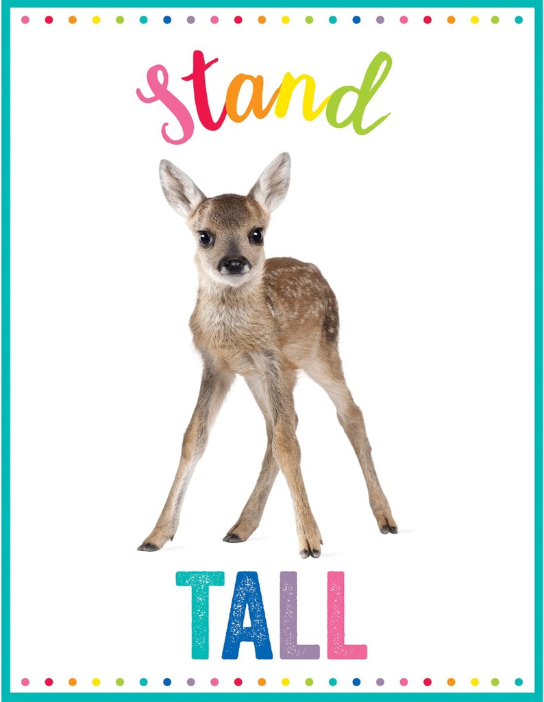 Stand Tall Chart (55cmx43cm)(21.6''x17&quot;)