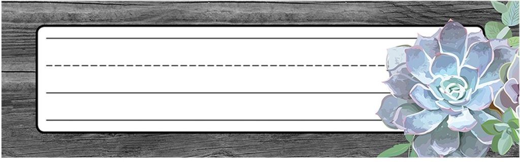 STYLISH SUCCULENTS DESK NAMEPLATES (24cm x 7cm)(9.5''x2.8'')(36pcs)