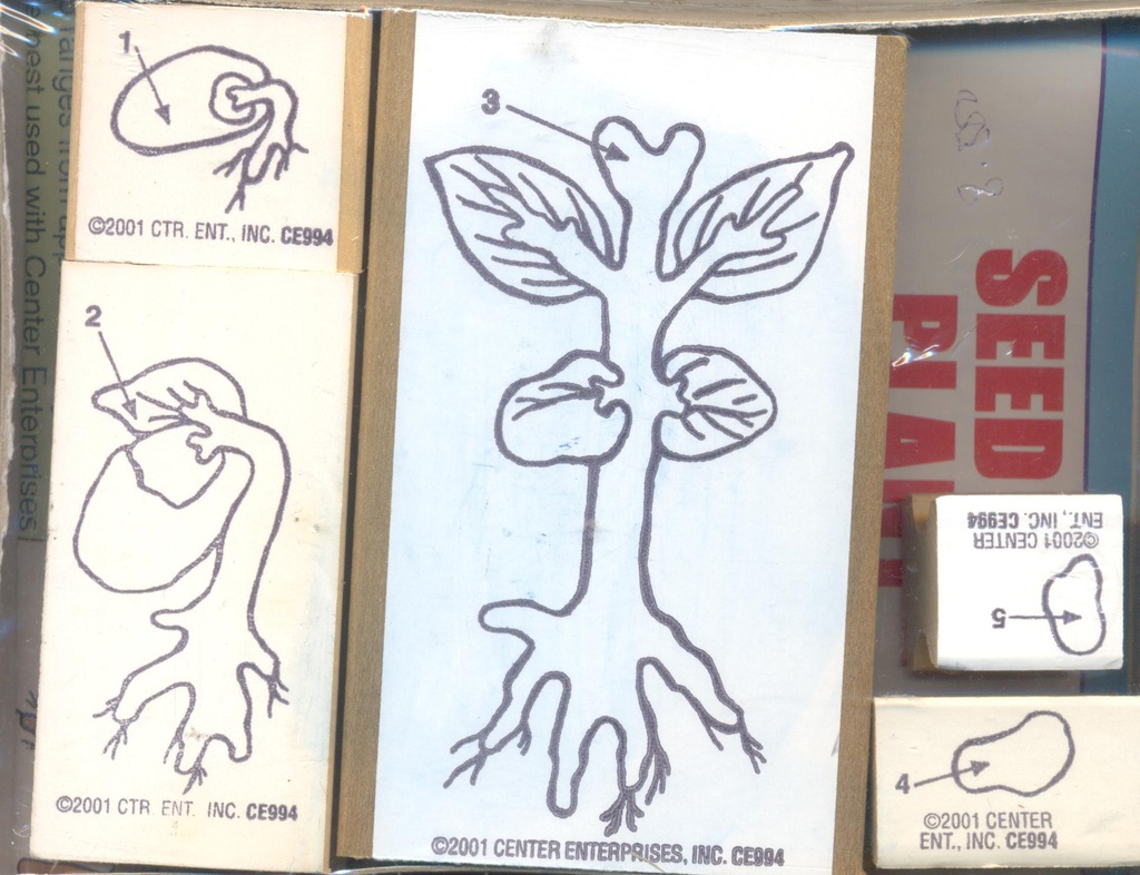 Lifecycle Stamp Set, Seed to Plant(2.5''x2'')(6.3cmx5cm)(3+yrs)